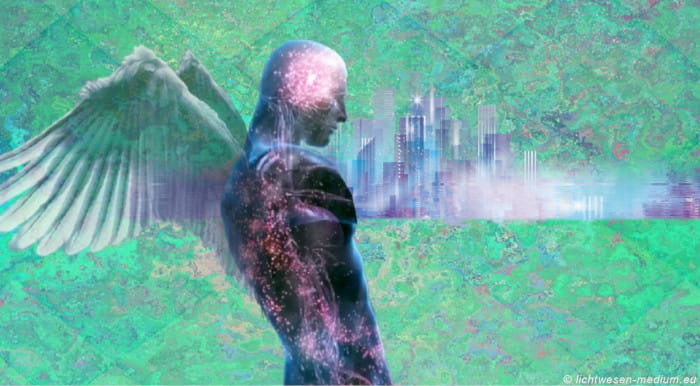 Voll Physische Realität (VPR)