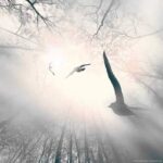 Transmutationstechnik