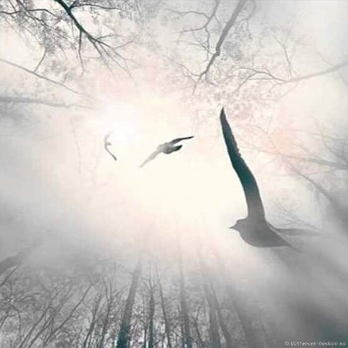 Transmutationstechnik